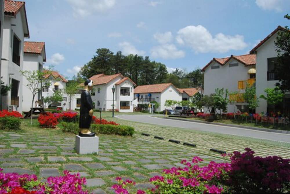 Damyang Meta Pension 27/35
