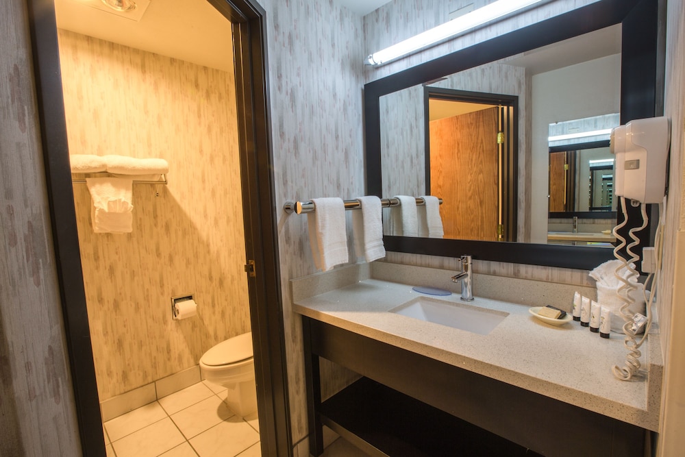Bridgeway Inn and Suites Portland Airport (ex. Rodeway Inn and Suites NE 181st Avenue) 12/29