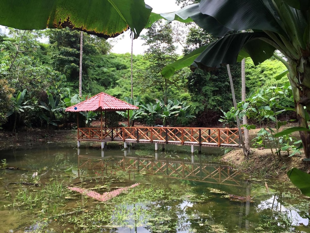 Esquinas Rainforest Lodge 34/46