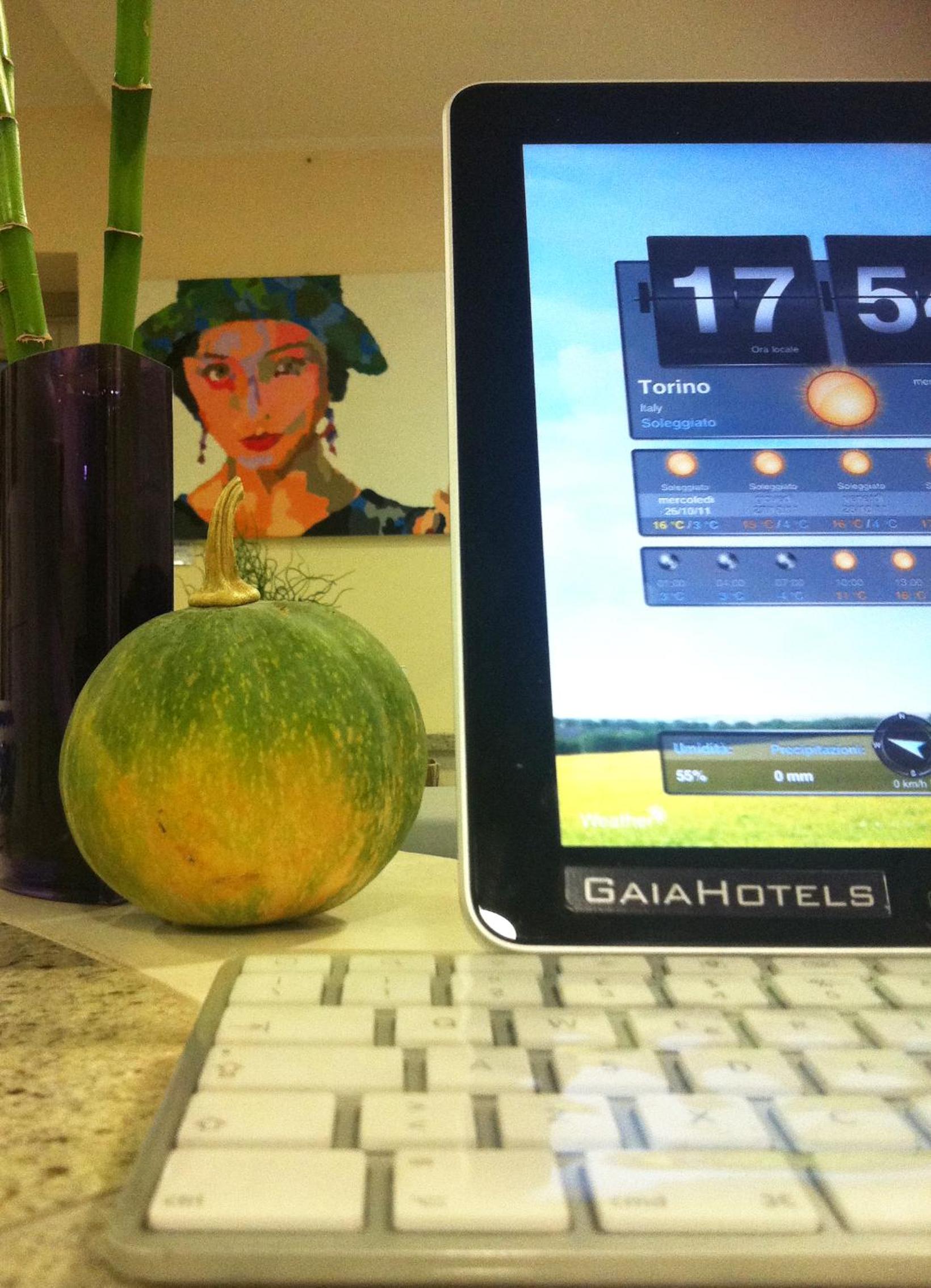 ECO ART HOTEL STATUTO 17/35