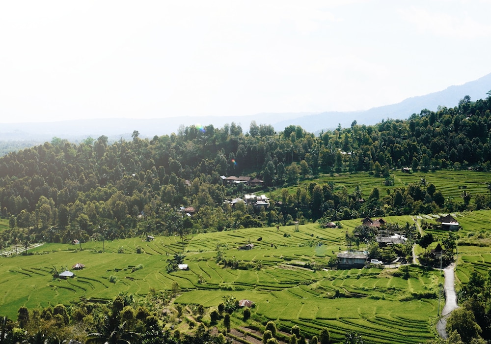 Maha Hills Resort by Mahaprana Experience 47/50