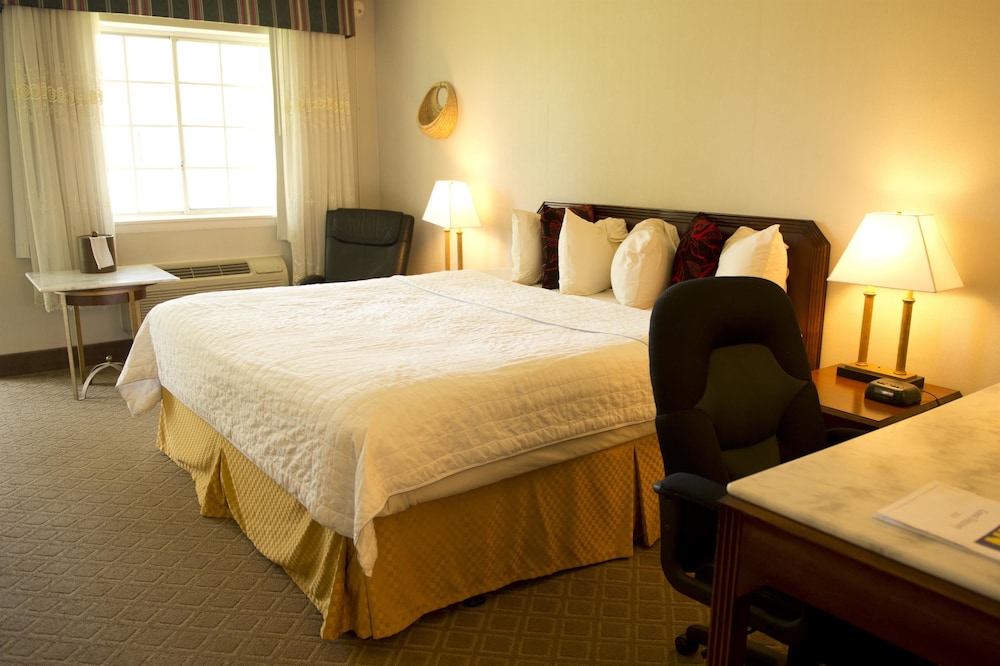 Room, King Bed