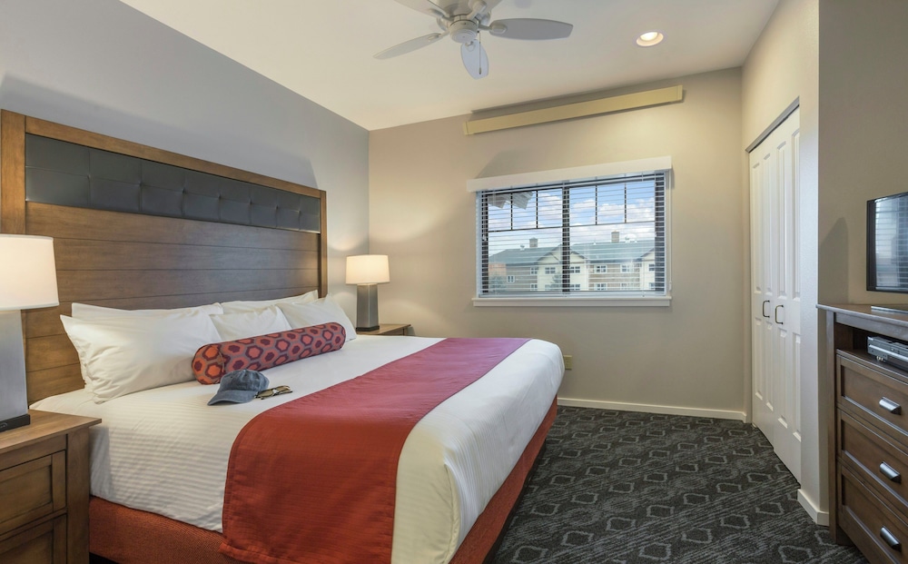 1 Bedroom, Condo, Standard, King Bed, Murphy Bed, Kitchen