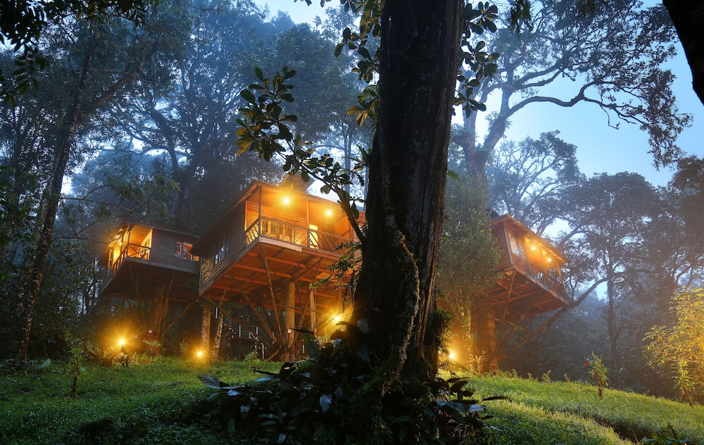 Nature Zone Resort 39/42