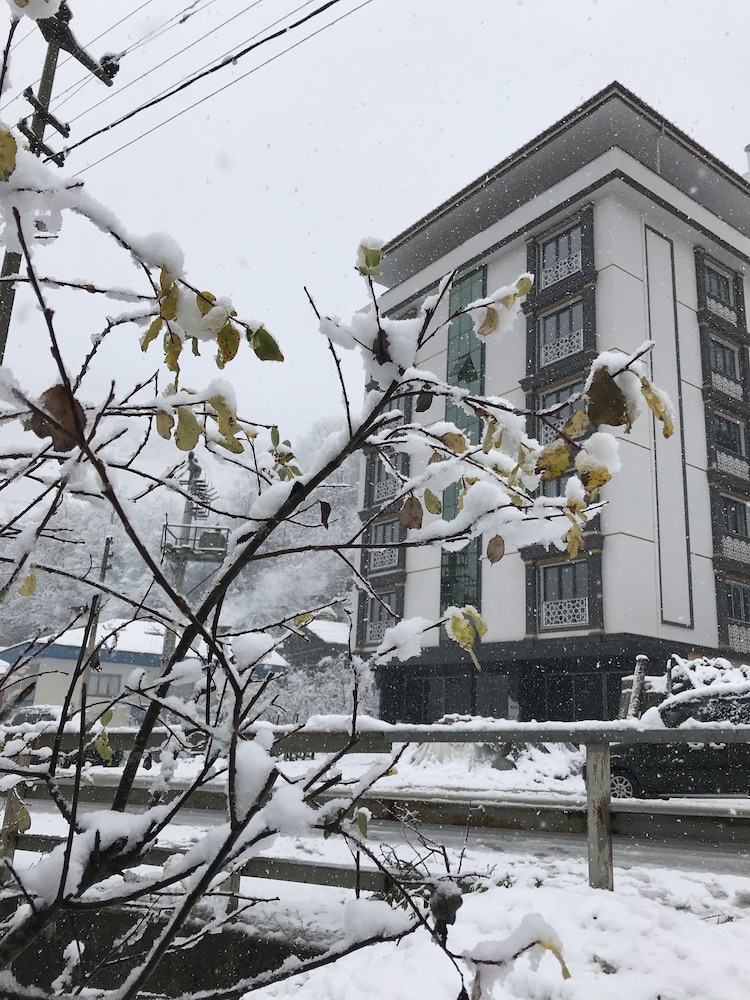 Golden Inn Uzungol 2/66