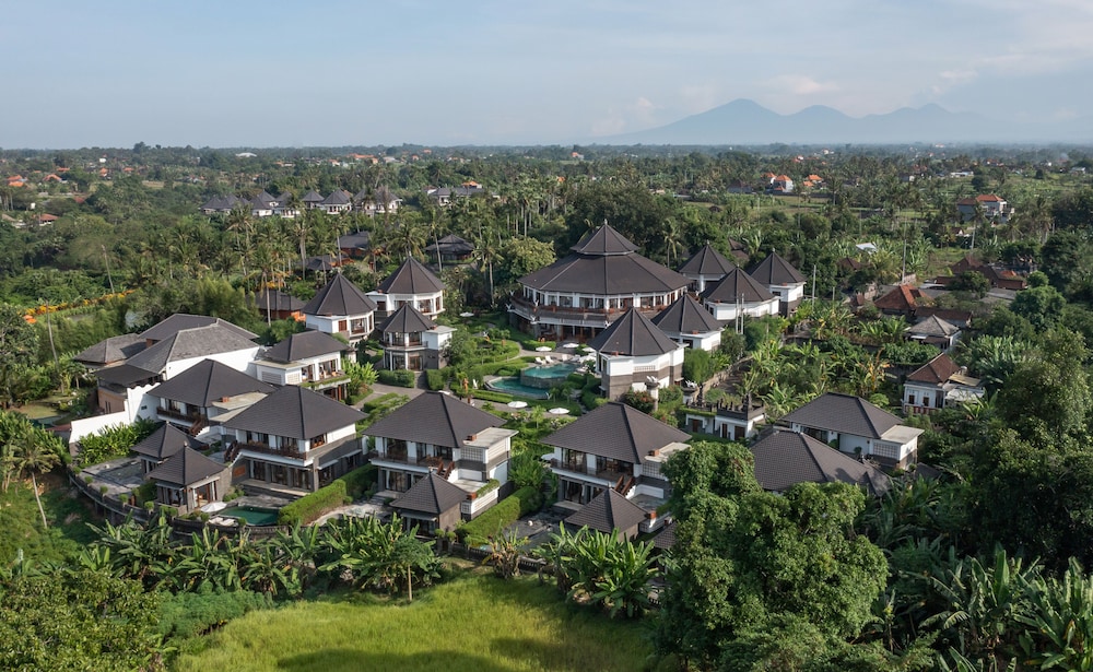 Swan Paradise A Pramana Experience 38/50
