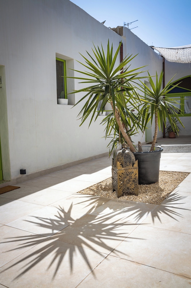 Lemon Tree Bed & Breakfast 7/30