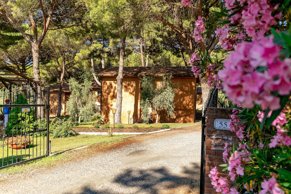Il Paradiso 39/50