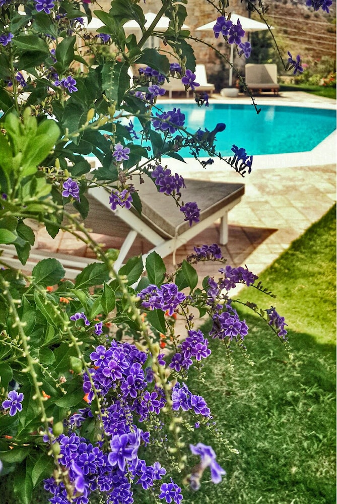 Swan Lake Boutique Hotel - Adults Only 50/67