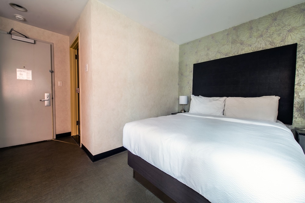 The Solita Soho Hotel An Ascend Hotel Collection Member 23/64