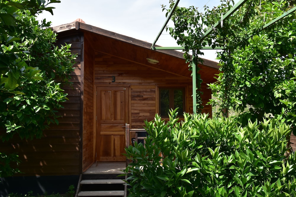 Lemon Garden Lodge 3/50