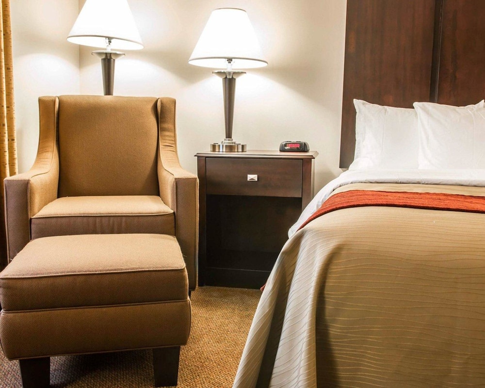 Comfort Inn and Suites Fenton MI 24/50