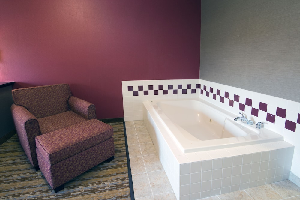 Holiday Inn Express Hotel Suites Wauseon 19/43