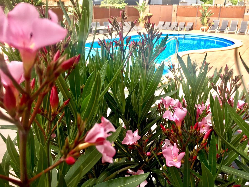 Hotel Stella Maris 30/32
