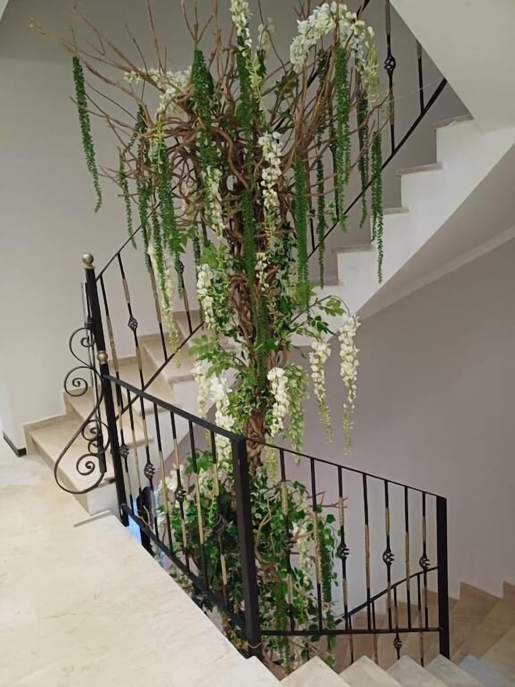 Oxygen Boutique Hotel Tirana 46/55