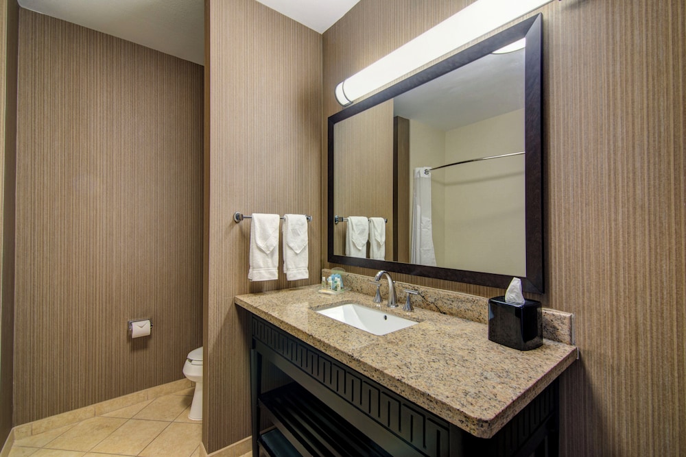 Holiday Inn Arlington Ne Rangers Ballpark 67/69