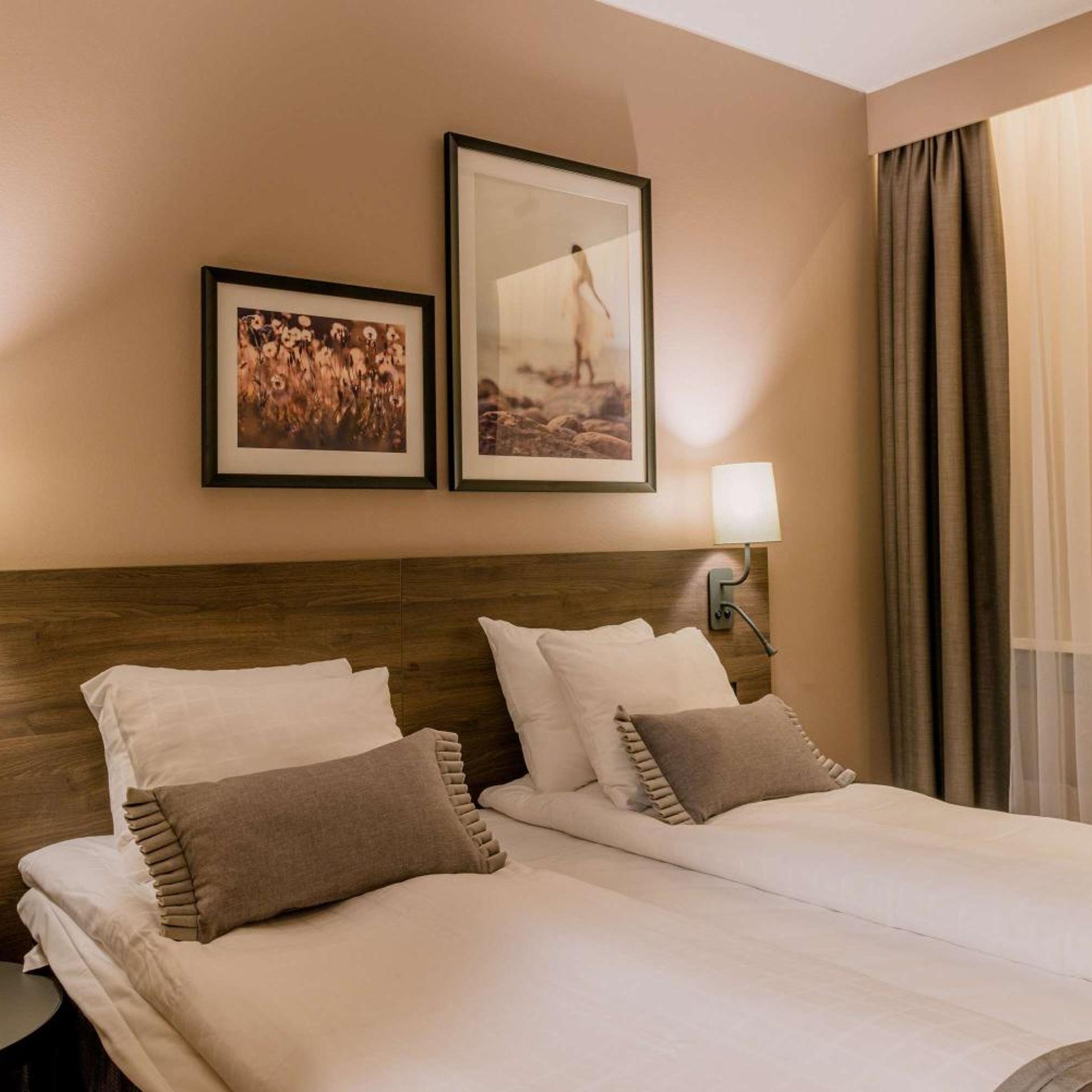Budget, Twin Beds, No Window