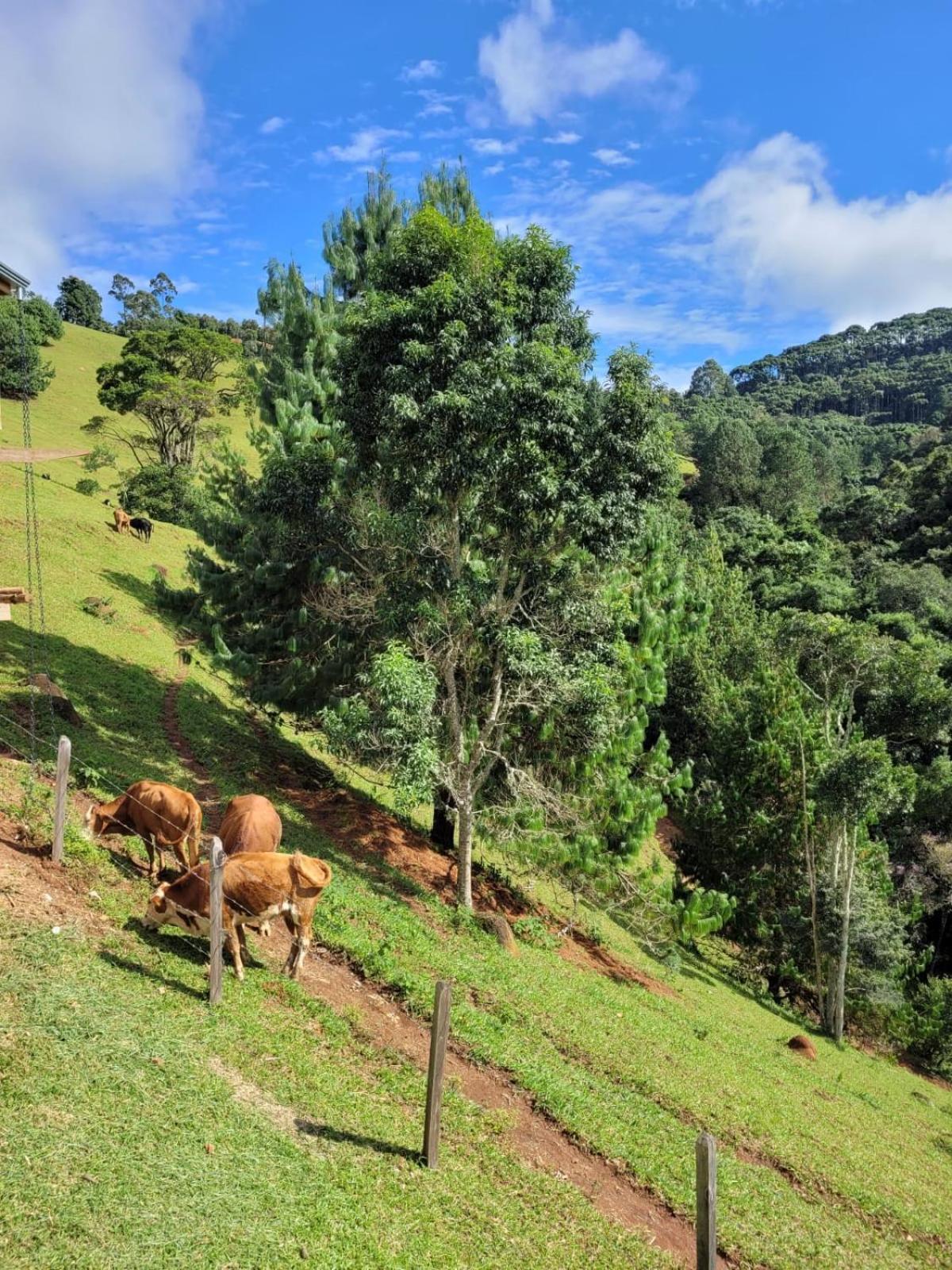 Chalés Estrela da Mantiqueira 39/46