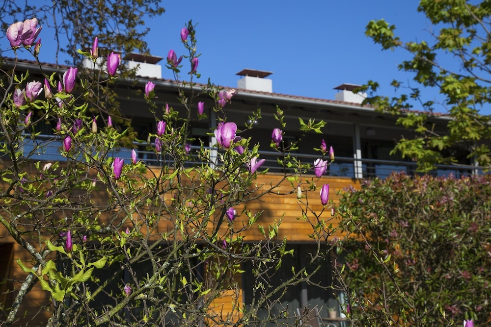 Casona de La Paca Hotel And Apartments 72/74