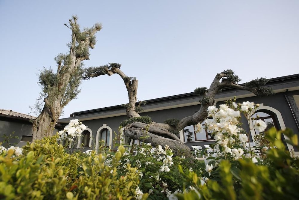 Guest House Terra Di Venera 21/30