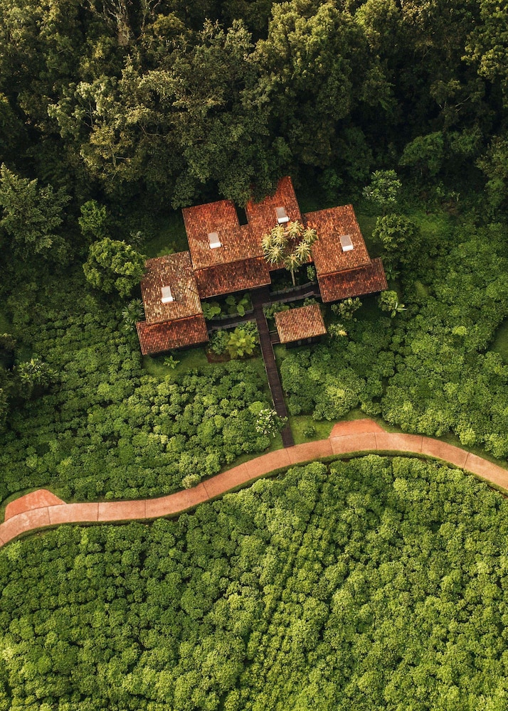 Nyungwe Tea Forest Resort 36/71