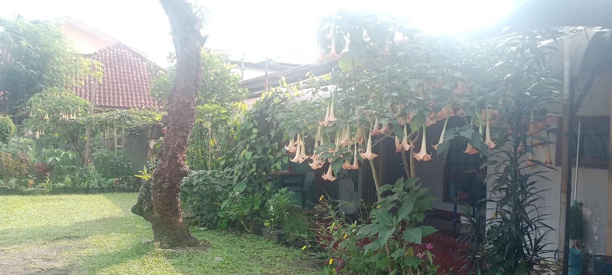 Griya Palayu 15/15