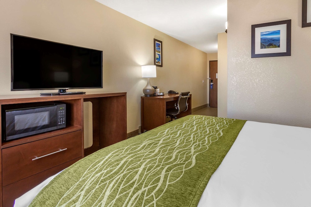 Comfort Inn & Suites Alameda At Albuquerque Balloon Fiesta Park 11/30