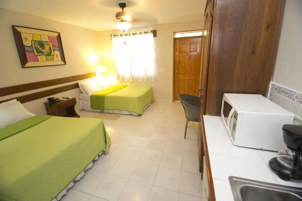 Palm Inn hotel 16/33