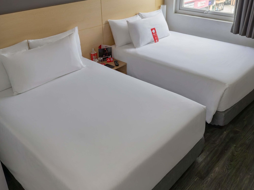 Ibis Chihuahua 10/50