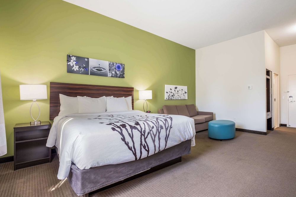 EFFICIENCY, BUSINESS, SUITE, KING BED
