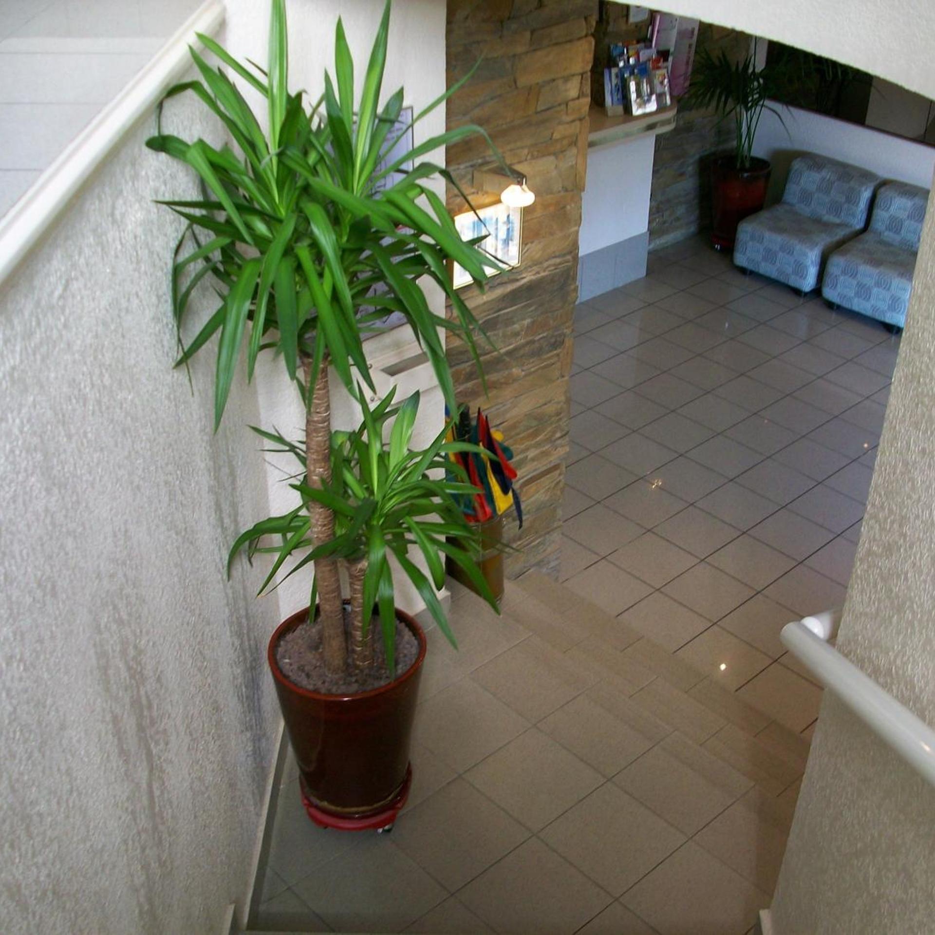 Hôtel Plage Des Pins 6/52