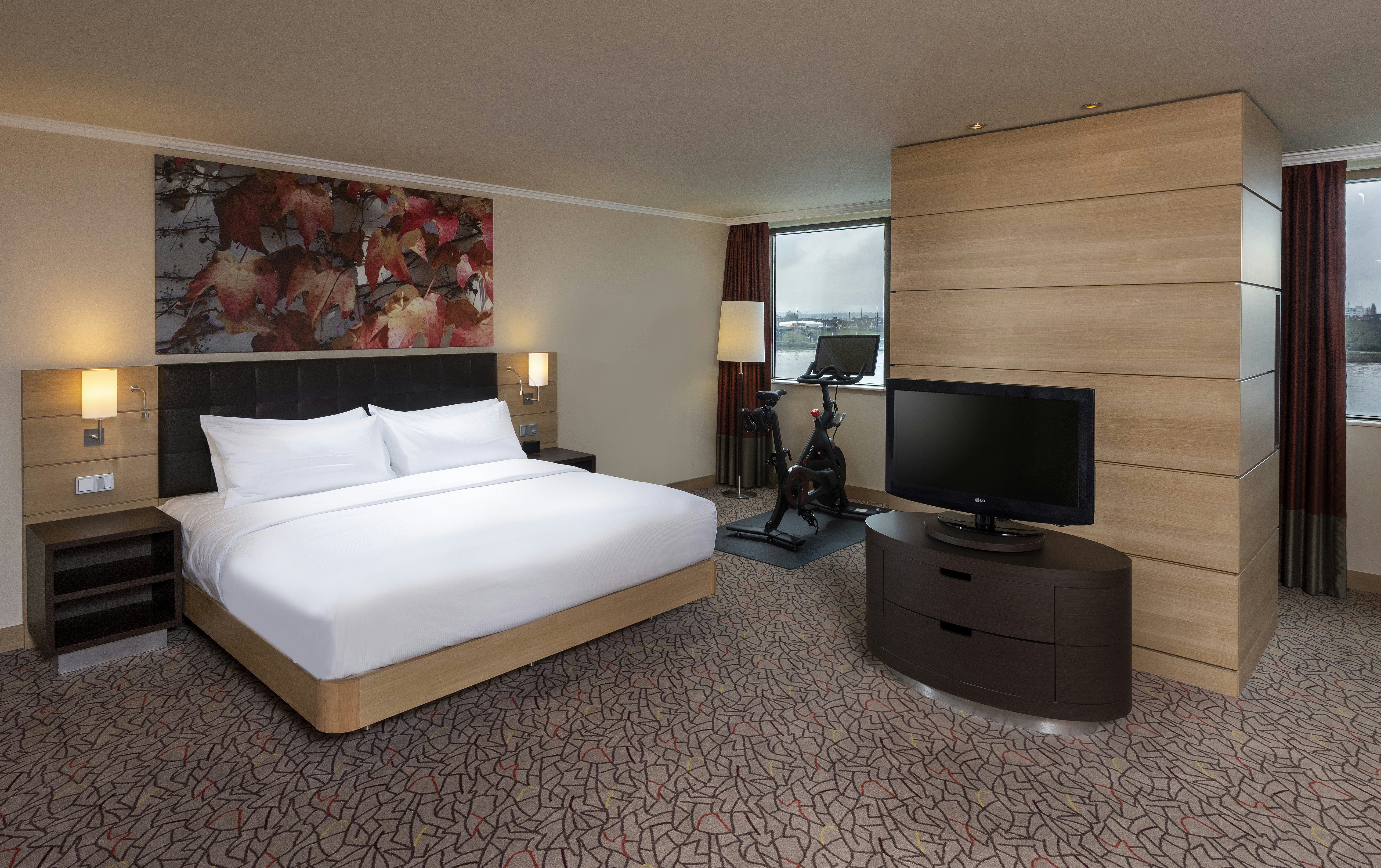 Hilton Mainz Hotel 9/53
