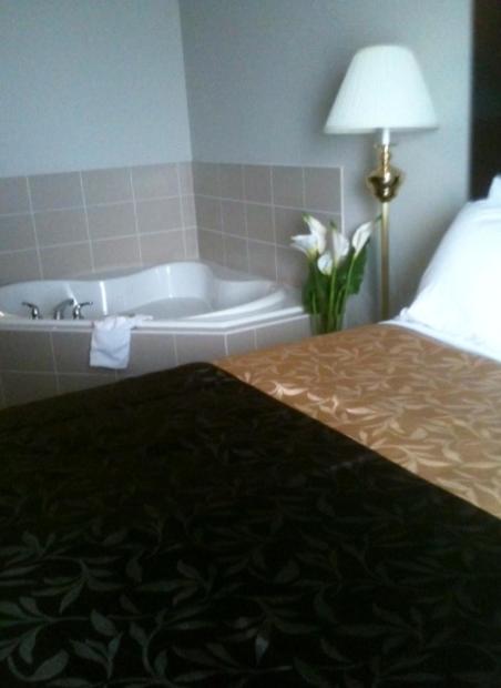 Studio, Queen Bed