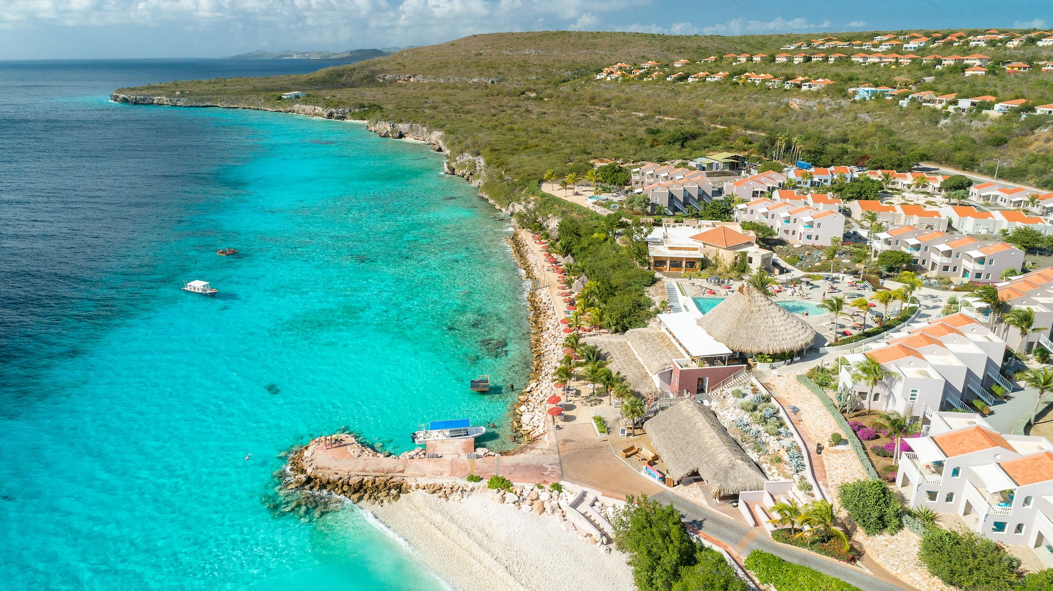 Coral Estate Luxury Resort 39/50