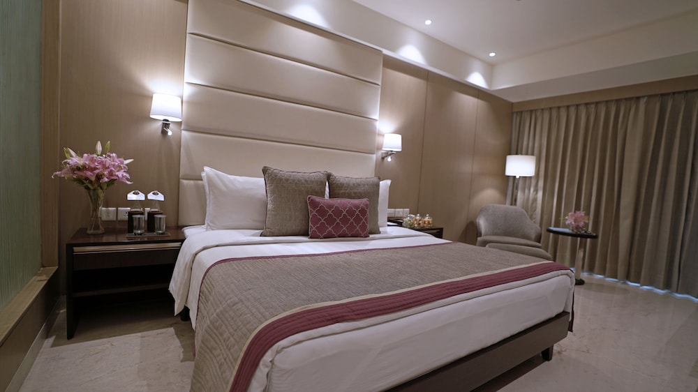 Jaypee Siddharth Hotel 18/47