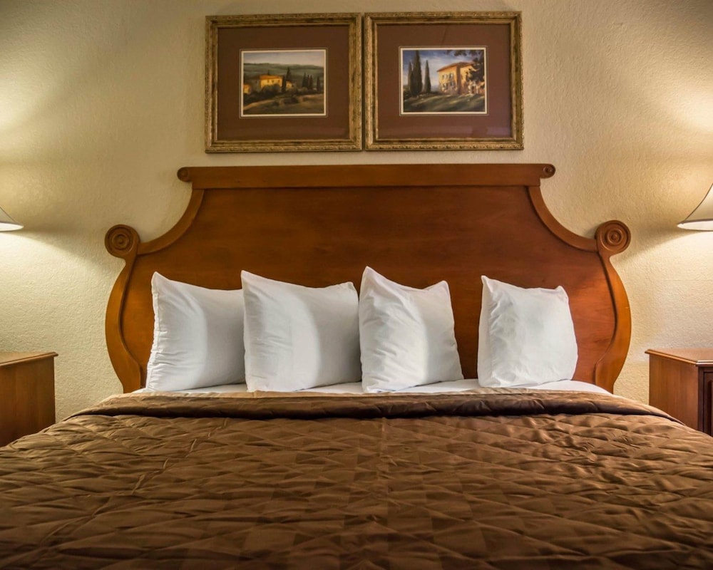 Rodeway Inn Near Ybor City - Casino photo5