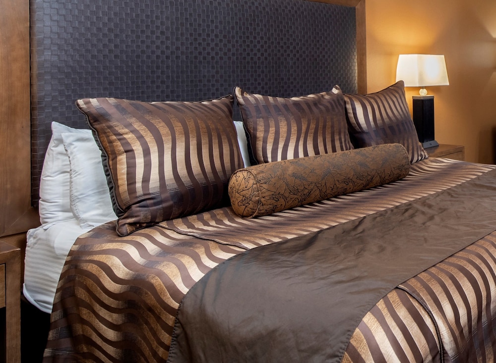 Clubhouse Hotel Suites Pierre 11/60