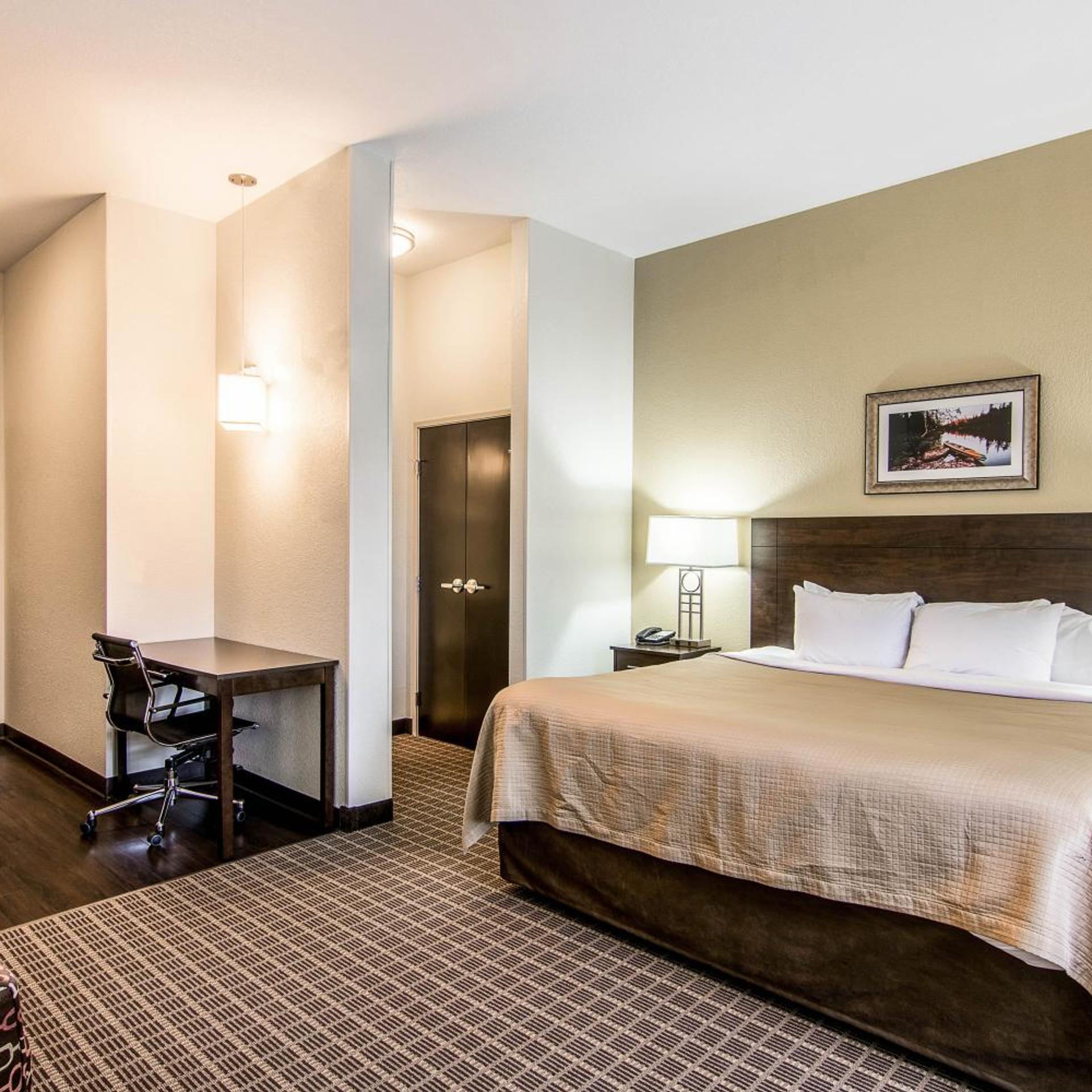 Efficiency, Suite, King Bed