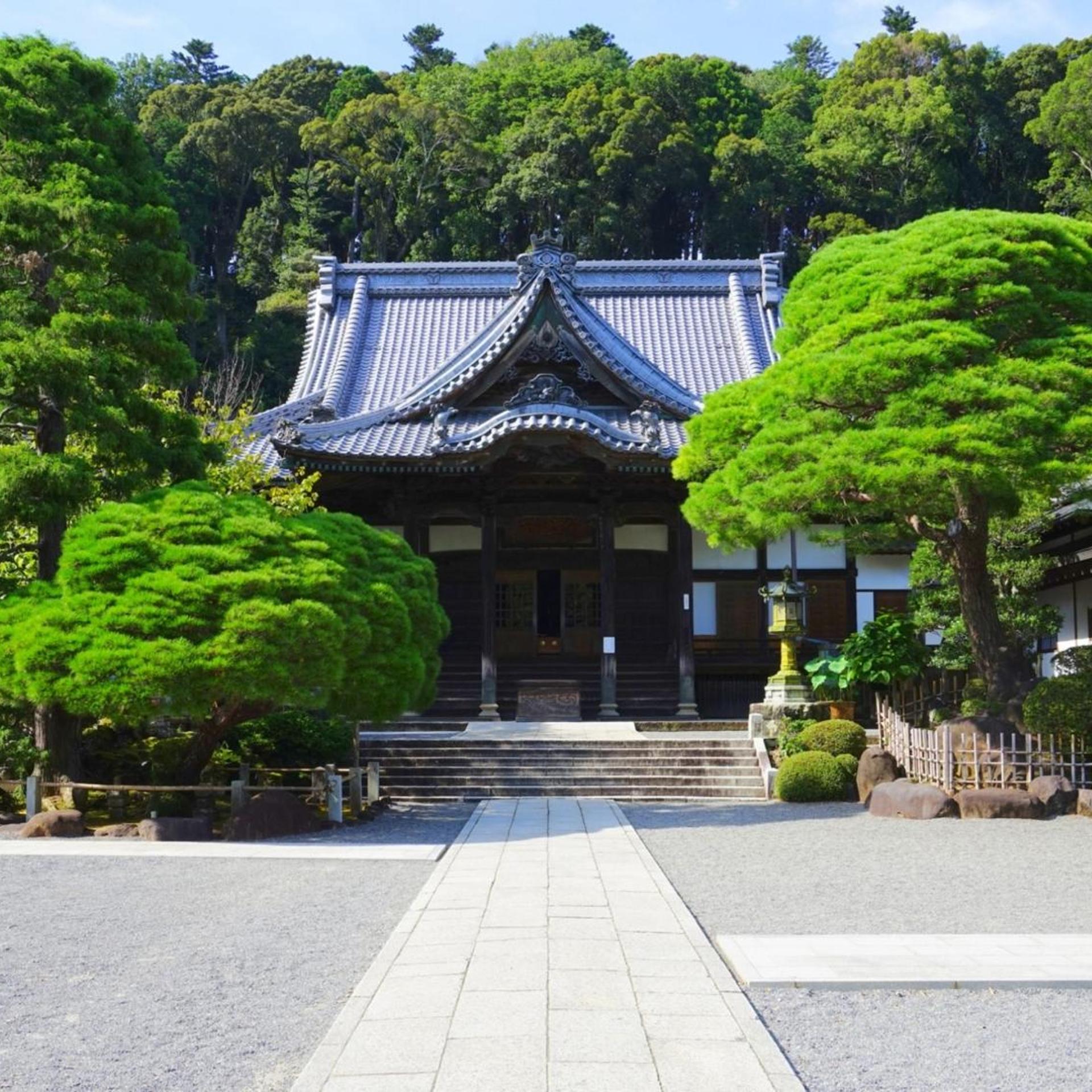 Shuzenji Onsen Goyokan 29/51