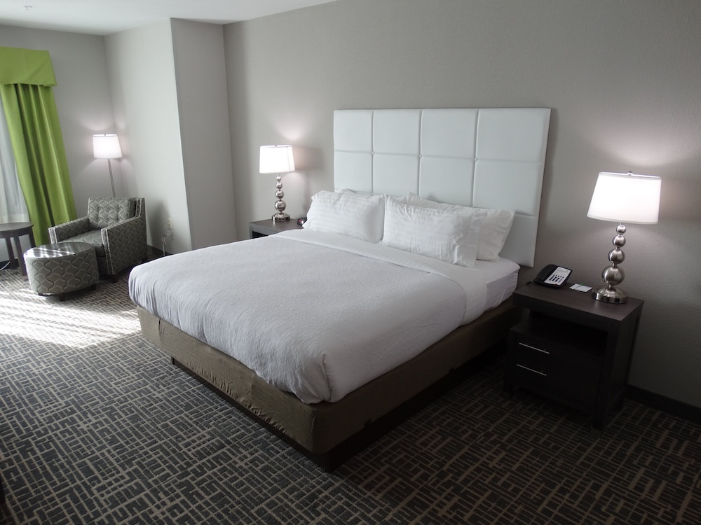 جناح استوديو بسرير كينج مع أريكة بمنطقة جلوس