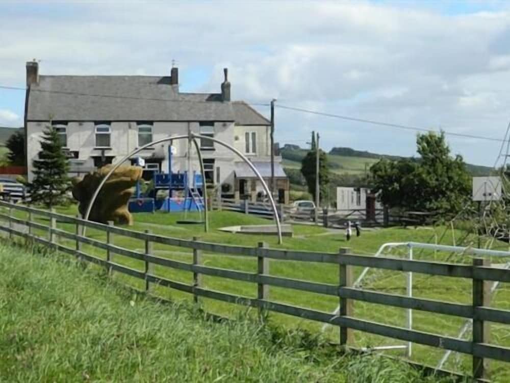 The Royal Oak 19/19
