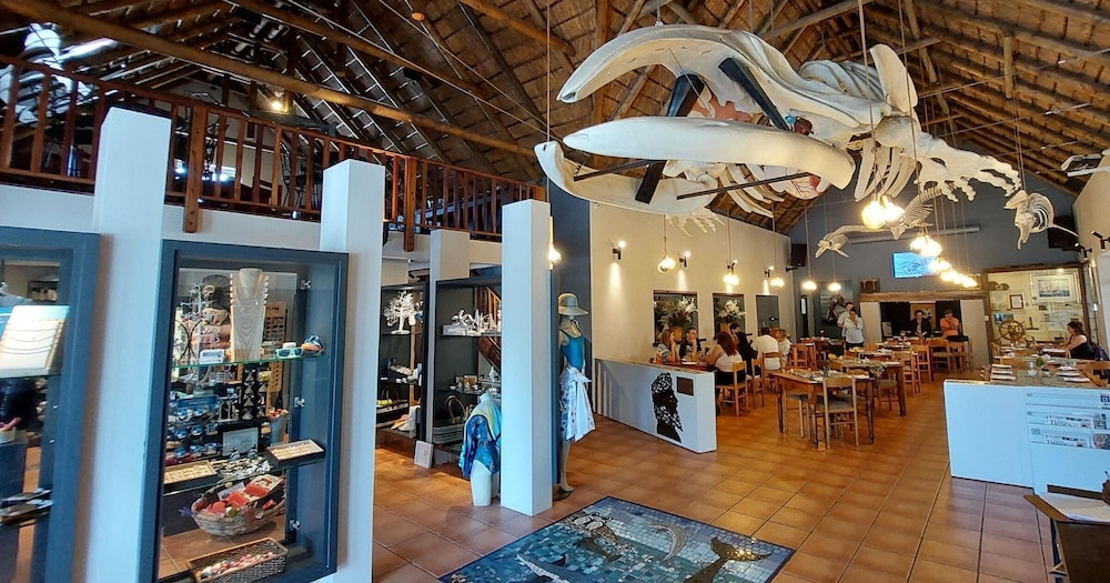 White Shark Guest House 3/50