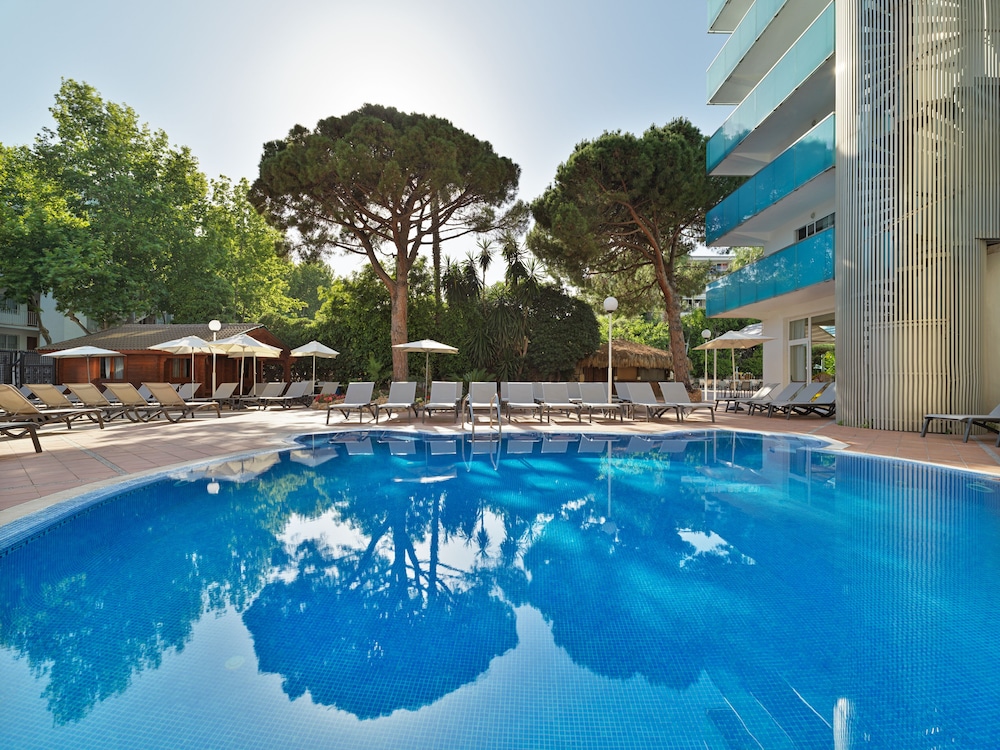 H10 Delfin - Adults Only 23/45