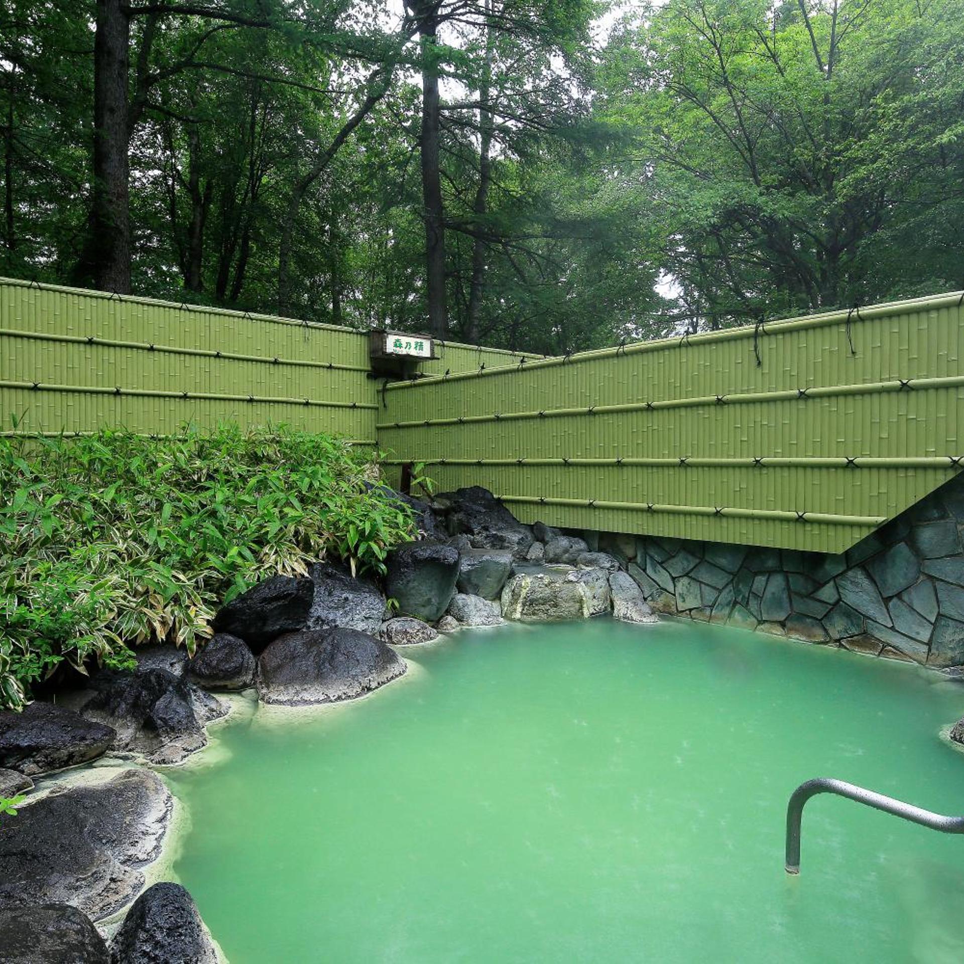 Nikko Astraea Hotel 22/70