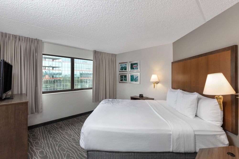 Suite, King Bed