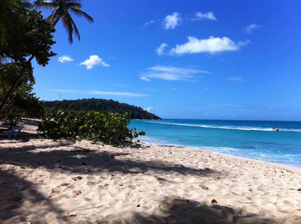 Galley Bay Cottages 36/50