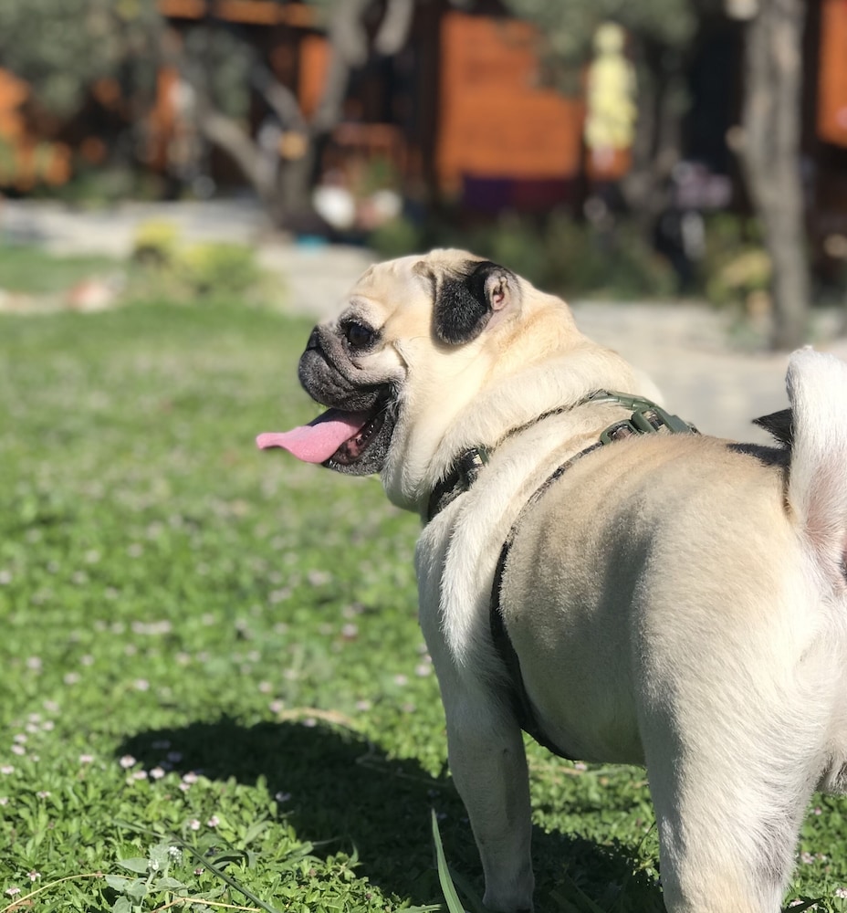 Milo Cunda 24/48