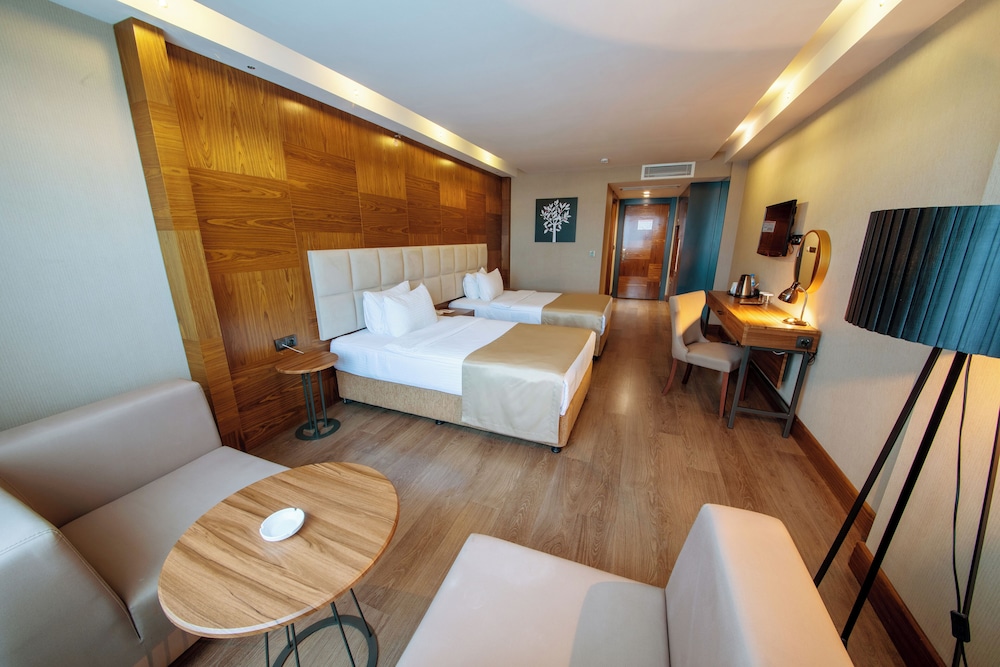 Ramada Plaza by Wyndham Samsun 22/61