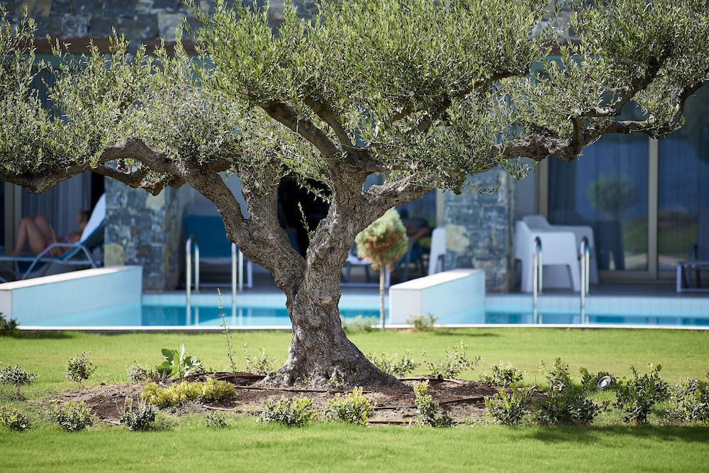 Kakkos Beach Hotel - Adults Only 44/50