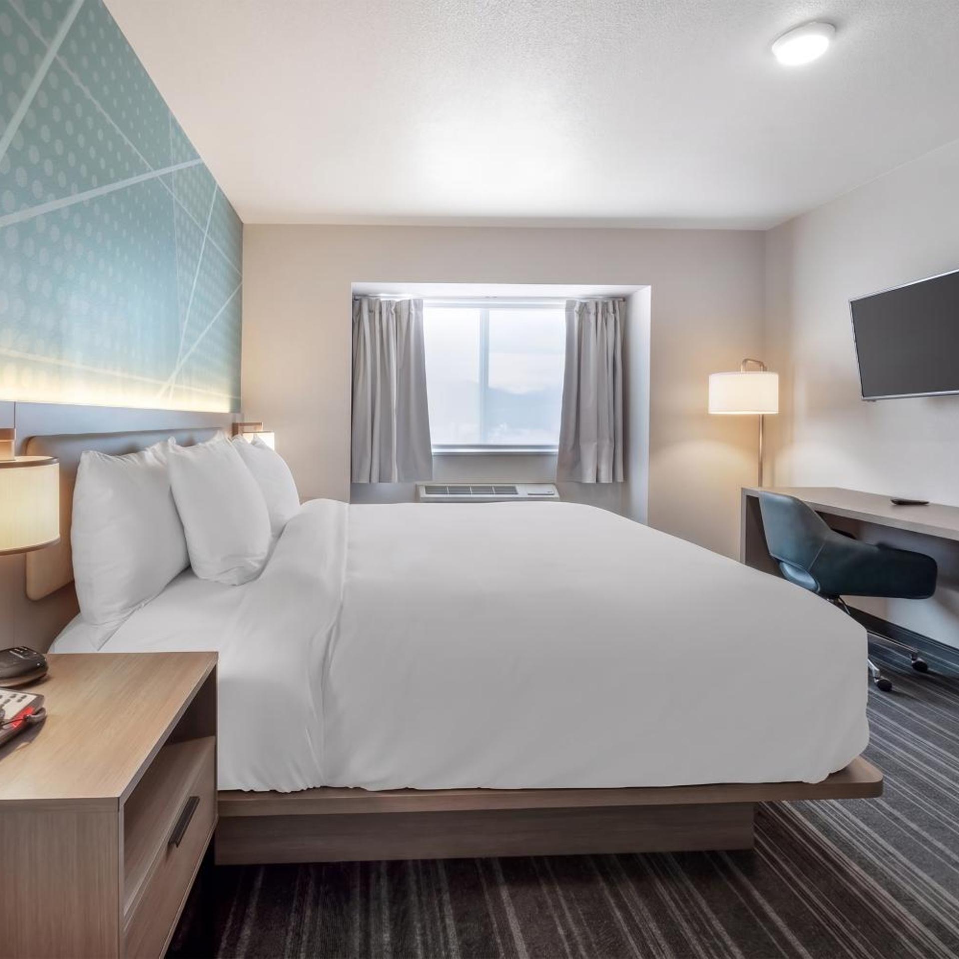 Efficiency, Suite, King Bed